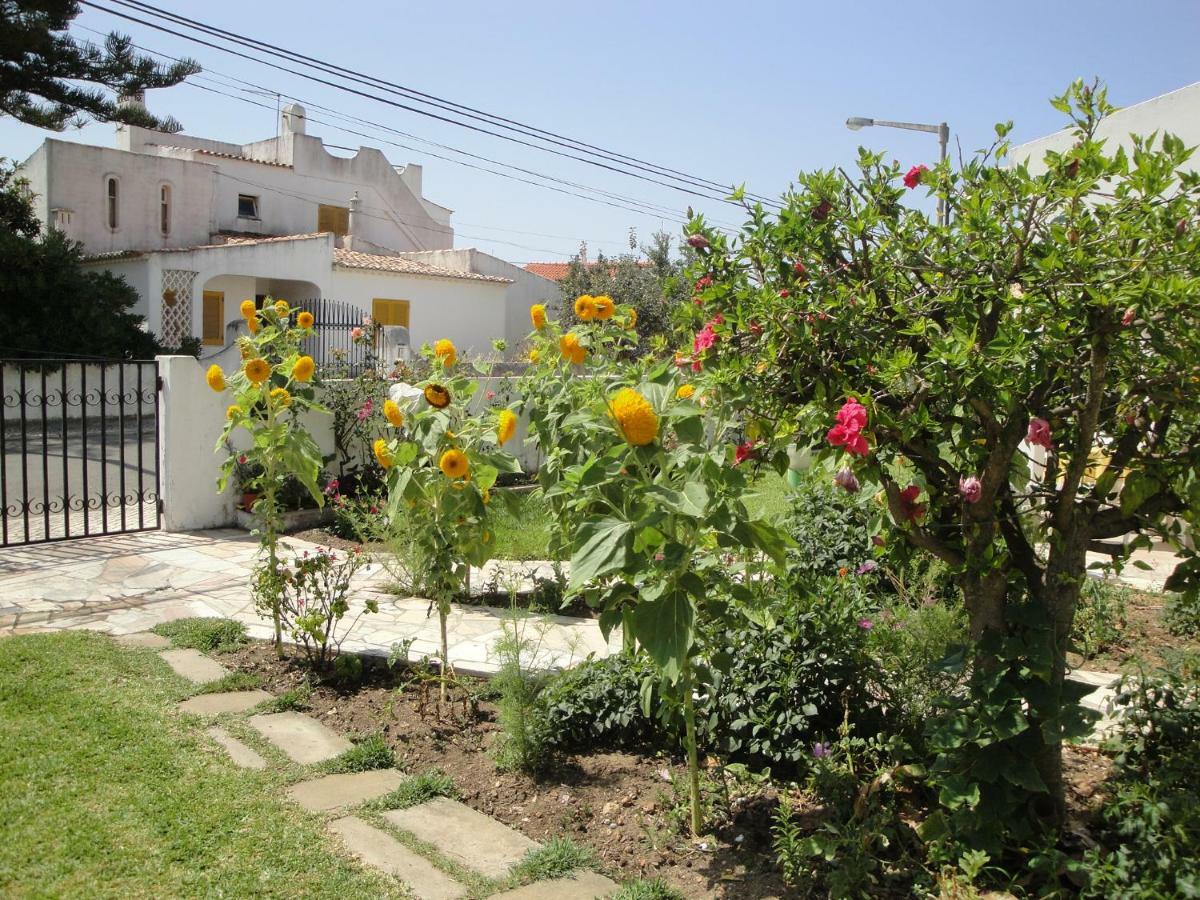 Lemon Tree Relaxing Guesthouse Λάγος Εξωτερικό φωτογραφία