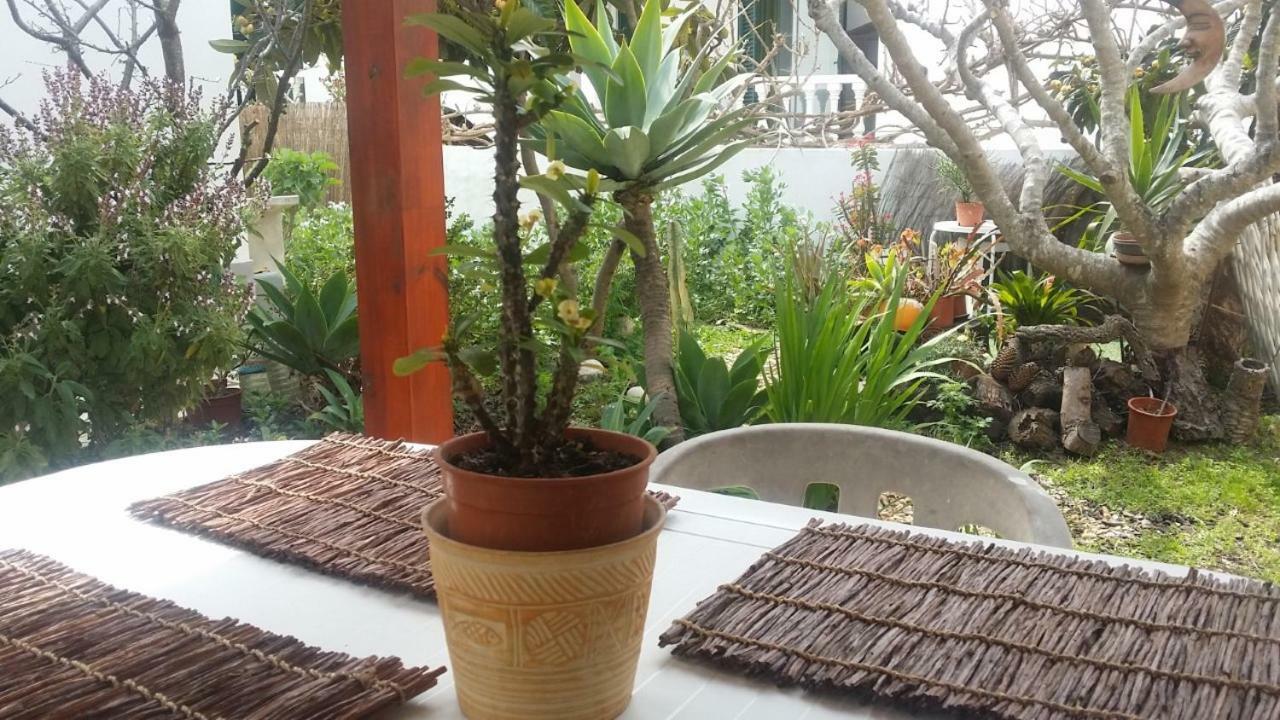 Lemon Tree Relaxing Guesthouse Λάγος Εξωτερικό φωτογραφία